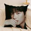 Чехол для подушки JJi CChang Wook, шелковистый, короткий плюш, двусторонний, с принтом, для дивана, все сезоны, декор для дома, подарок