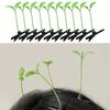 20/30/50Pcs Funny Bean Sprout Hair Clip Set Spring Design Anti-slip Realistic Style Green Plant Hairpins Hair Accessories
