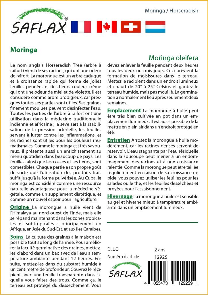 SAFLAX Хрен - 10 семян - Moringa oleifera