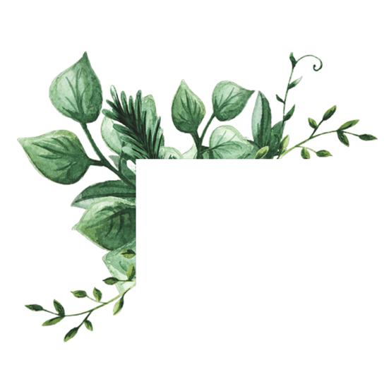 Настенная наклейка Изысканная Легко наносится Красочная DIY Цветок Лист Наклейка на стену с выключателем для Отеля CDN