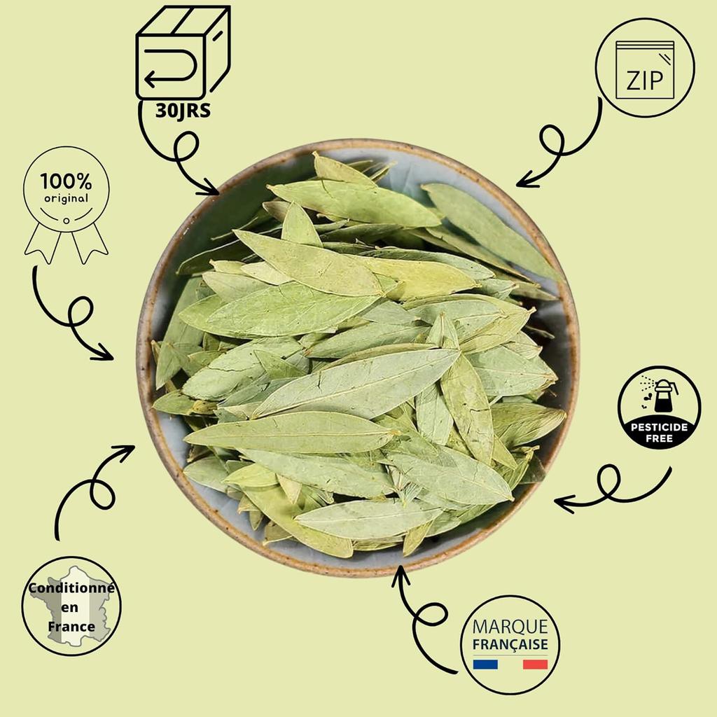 Senna Maki Leaves 200g XXL – Alexandrian Senna Whole Leaves – Powerful Natural Laxative & Colon Cleanse – Herbal Detox Tea