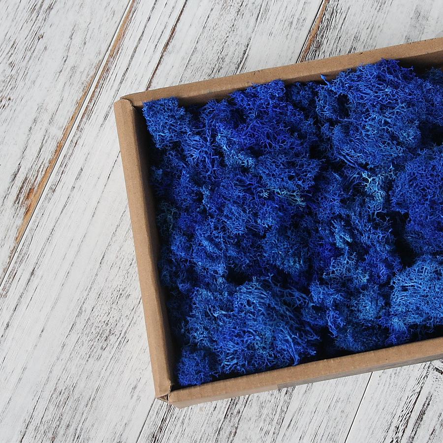 Preserved Flower & Moss Wall Decoration Kit: Flower Gift Box Materials