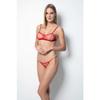 Red Bra Panty Set
