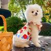 Lightweight Floral Dress Small Dogs - Princess Style Pet Outfit Bichon Teddy Teacup Breeds