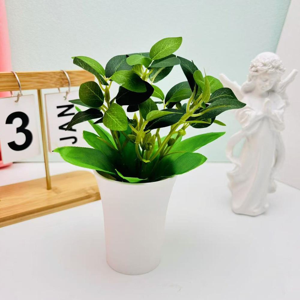 Мимоза Стыдливая Шеффлера Восьмилистная Зеленое Растение для Домашнего Настольного Декора