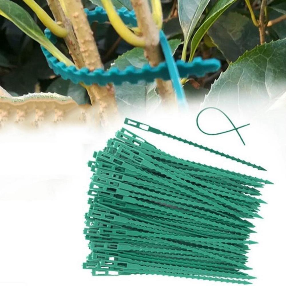 Сопротивление Рост Дерево Лента Пластиковые Садовые Принадлежности Кустарники Крепеж Кабельные Стяжки Поддержка Растений