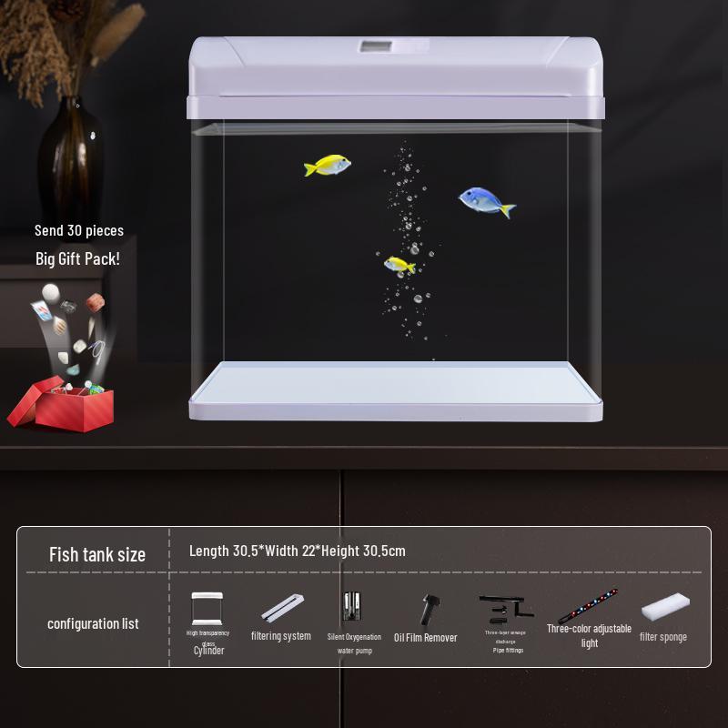 All-in-One Glass Aquarium Filter & Oxygenator - Small Eco-Friendly Desktop Tank 2025.
