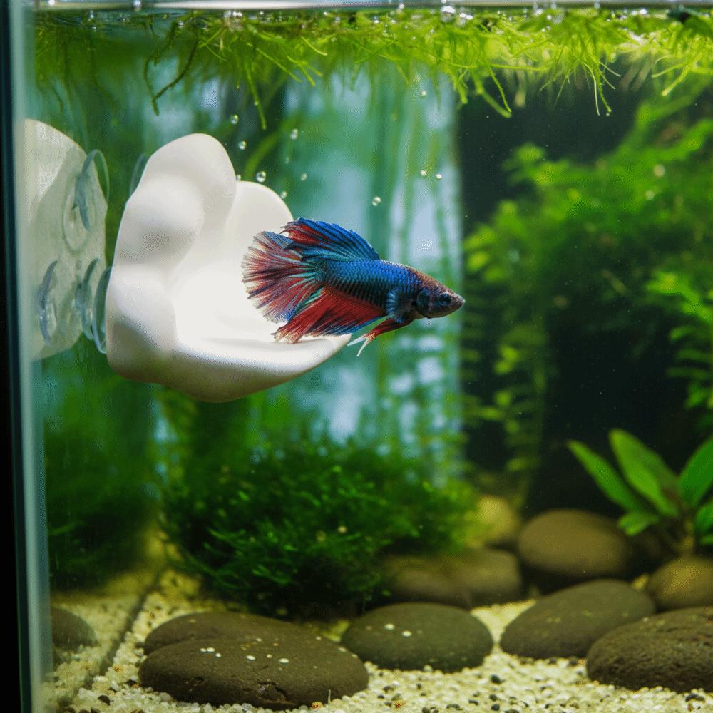 3D Printing Betta Fish Hammock with Suction Cup Betta Spawning Bed Aquarium Decoration