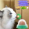 Cat Round Catnip Ball With Dust Cover Sticker Design Cat Candy Snacks Nutrition Food Pet Supplies
