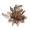Decorative Guinea Fowl Feathers 3g