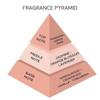 London Notes Unisex Passion Paradise Парфюмированная вода для мужчин и женщин|Стойкий аромат EDP|с фруктовыми, цветочными и ароматическими ароматами|100 мл
