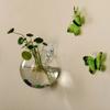 Plants Holder Wall Mounted Vase Fish Tank Flower Arrangement Bottle Unique Flower Pot  Living Room