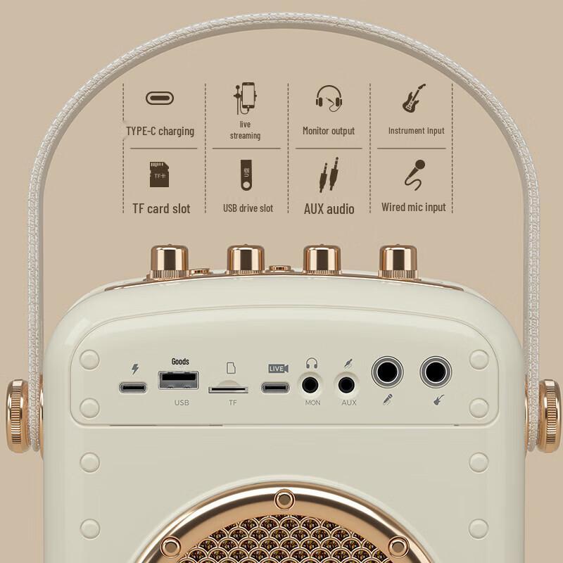 Newman K513 Portable Bluetooth KTV Speaker with Dual Mics