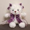 Cute White Bear Doll Korean Version of Rag Doll Teddy Bear Plush Doll Girlfriend Bestie Gift