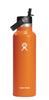 Hydro Flask Hydration, 21 Oz (621 Ml), Standard Mouth, Flex Straw, Mesa