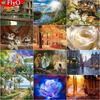 5D алмазная живопись весенний пейзаж цветок радуга картины из стразов Алмазная вышивка крестиком кошка животное мозаика домашний декор