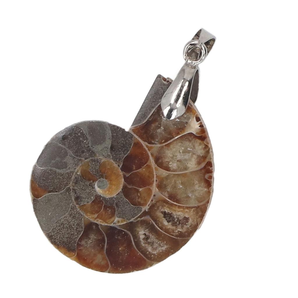 Подвеска из ракушки аммонита, ручная работа, винтажная подвеска из натурального аммонита для женщин и мужчин, подарок