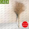 Outdoor Sanitation Bamboo Broom