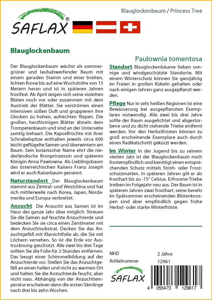 SAFLAX Подарочный набор - Дерево принцессы - 200 семян - С подарочной коробкой, карточкой, этикеткой и субстратом для горшков - Paulownia tomentosa