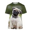 Cute Animal Pet Dog Tshirt For Men 3D Printed Funny Pug Graphic Tees Top Plus Size Short Sleeve T-shirt Homme Streetwear