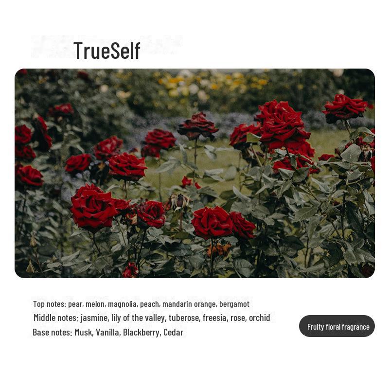 Автоматический распылитель для ароматерапии: Компактный, работающий от батареек ароматизатор для дома и ванной комнаты