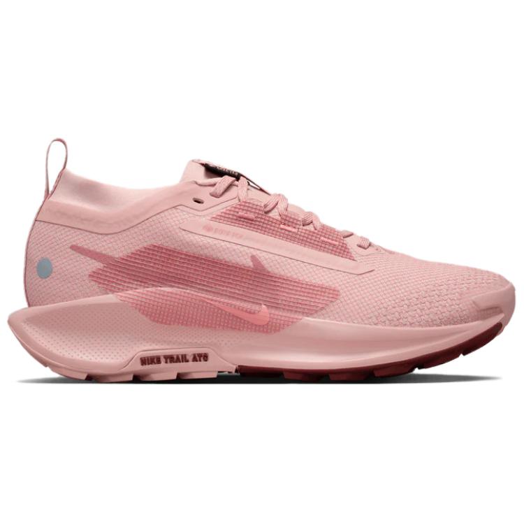 Nike FQ0912-601 Pegasus Trail 5 GORE‑TEX Красная Звездная Пыль Сиреновый Лед Уличные Кроссовки