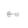 Boucles D'oreilles - LUXENTER - Dali - Argent 925 - Zircone - Rhodié
