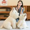 Cute West Highland Dog Plush Doll Dog Doll Girl Exquisite Gift Children's Soothing Doll Machine Gift