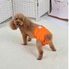 Pet Dog Clothes: Velcro Anti-Harassment Pants for Small To Large Breeds (Teddy, Golden Retriever, Labrador) for Menstrual and Physiological Needs.