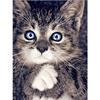 Diamond Painting Cat 5D Diy Diamond Embroidery Animal Mosaic Picture Of Rhinestone Home Decoration