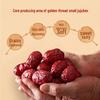 Meile Premium Chinese Jujubes