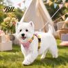 Durable Metal Traction Ring No Pull Dog Harness with 5Ft Leash, Cute Colorful Wings Harness, Adjustable Medium Walking Vest Reflective Handle