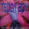 12-дюймовая пластинка TEDDY BOY - В джунглях TRD1333 Time Records 1993 Италия Танцевальная и электронная Б/У