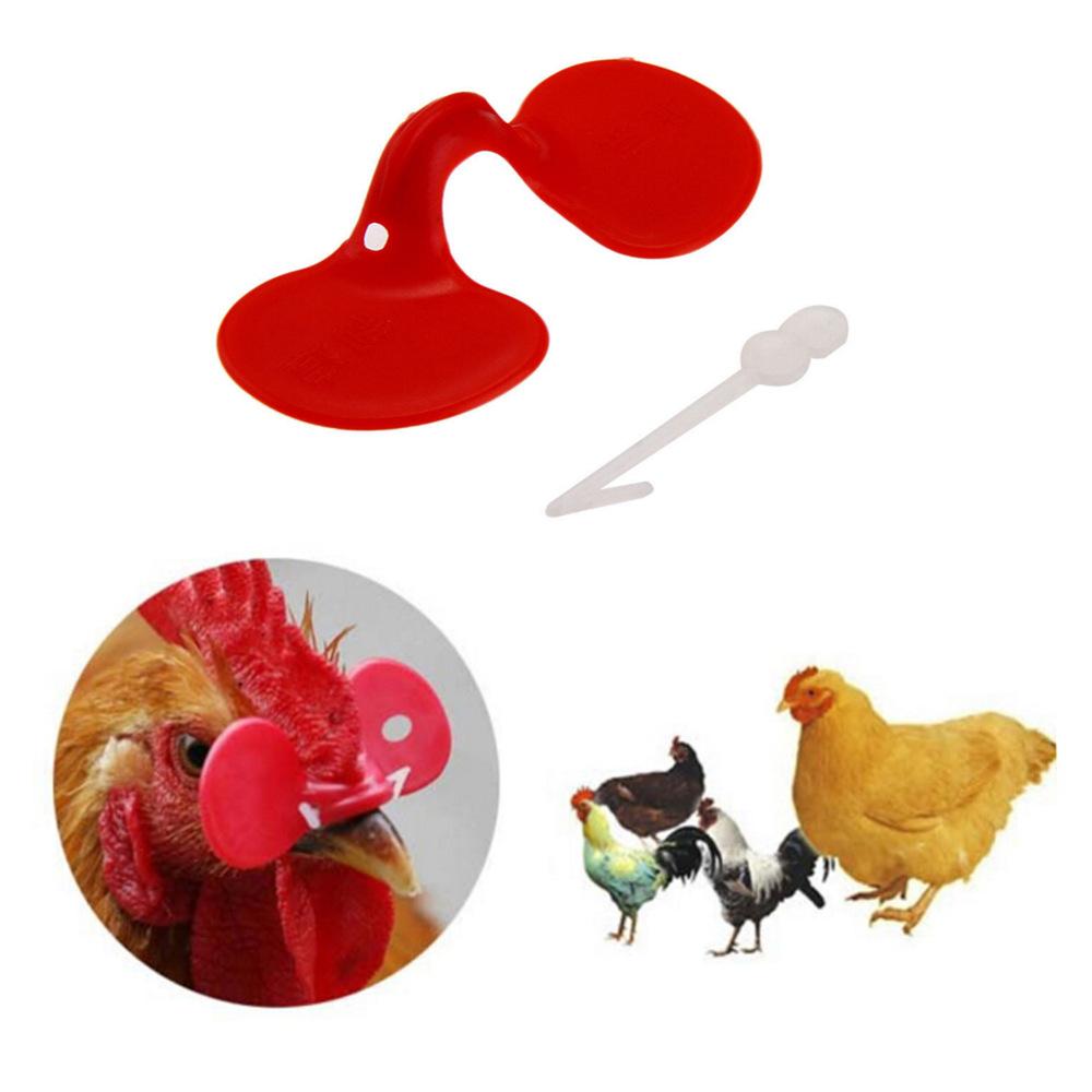 20Pcs Rooster Anti-peck Glasses, Small Chicken Glasses with Bolts, Anti-peck and Anti-fight Chicken Eye Masks, Chicken Equipment Supplies