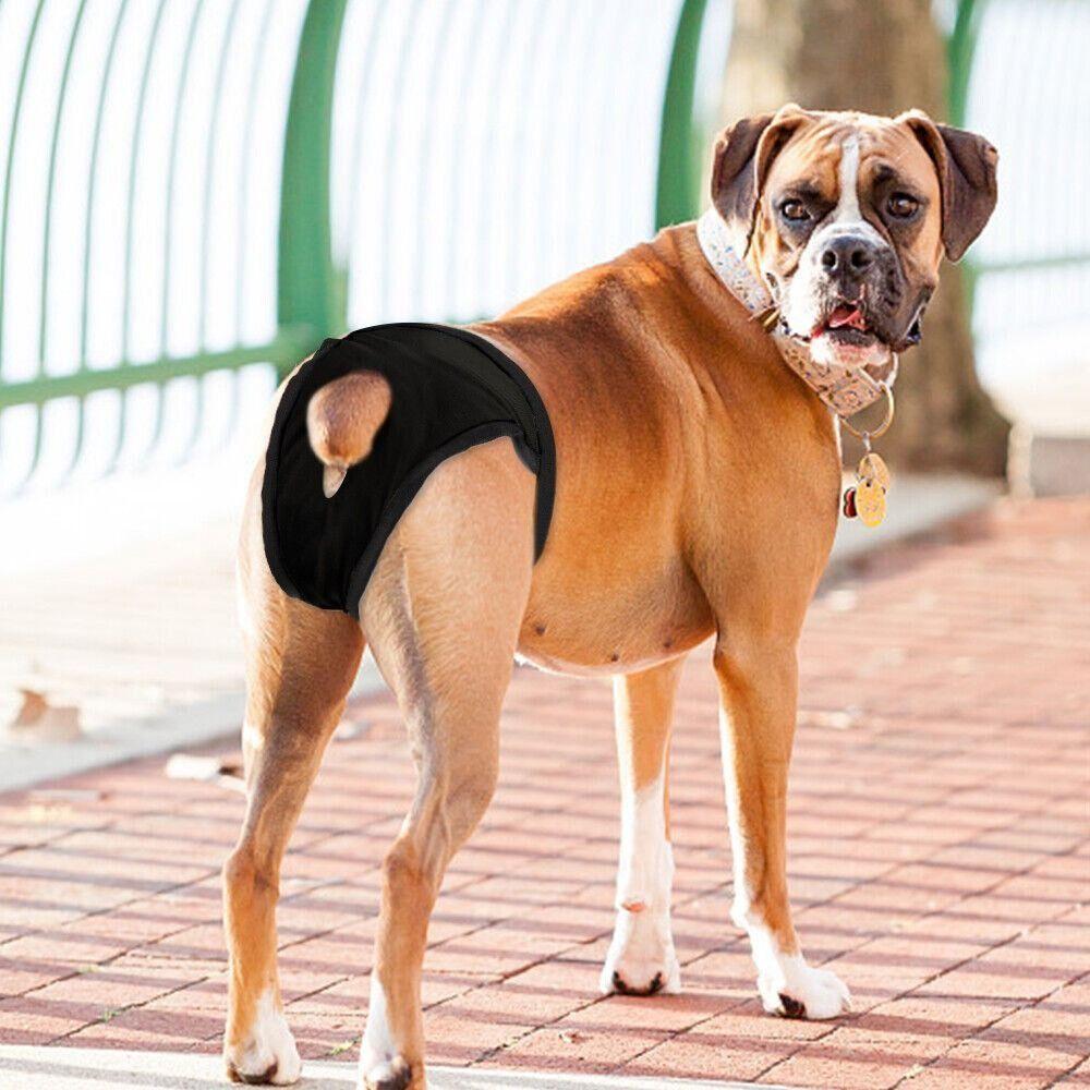 Моющиеся трусики для сук с 3 хлопковыми прокладками, гигиенические штанишки для собак, для сук в течке