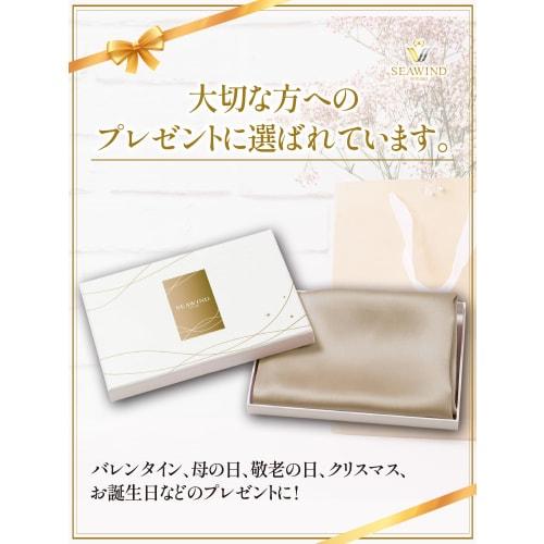 [Supervised by Haircare Professionals] SEAWIND Silk Pillowcase [As Seen on TV] Washable Pillowcase, Double-Sided 90% Silk, 19 Momme, Beautiful Skin, B