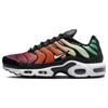 Кроссовки Air Max Plus Rainbow Женские Мультицвет DZ3670-001
