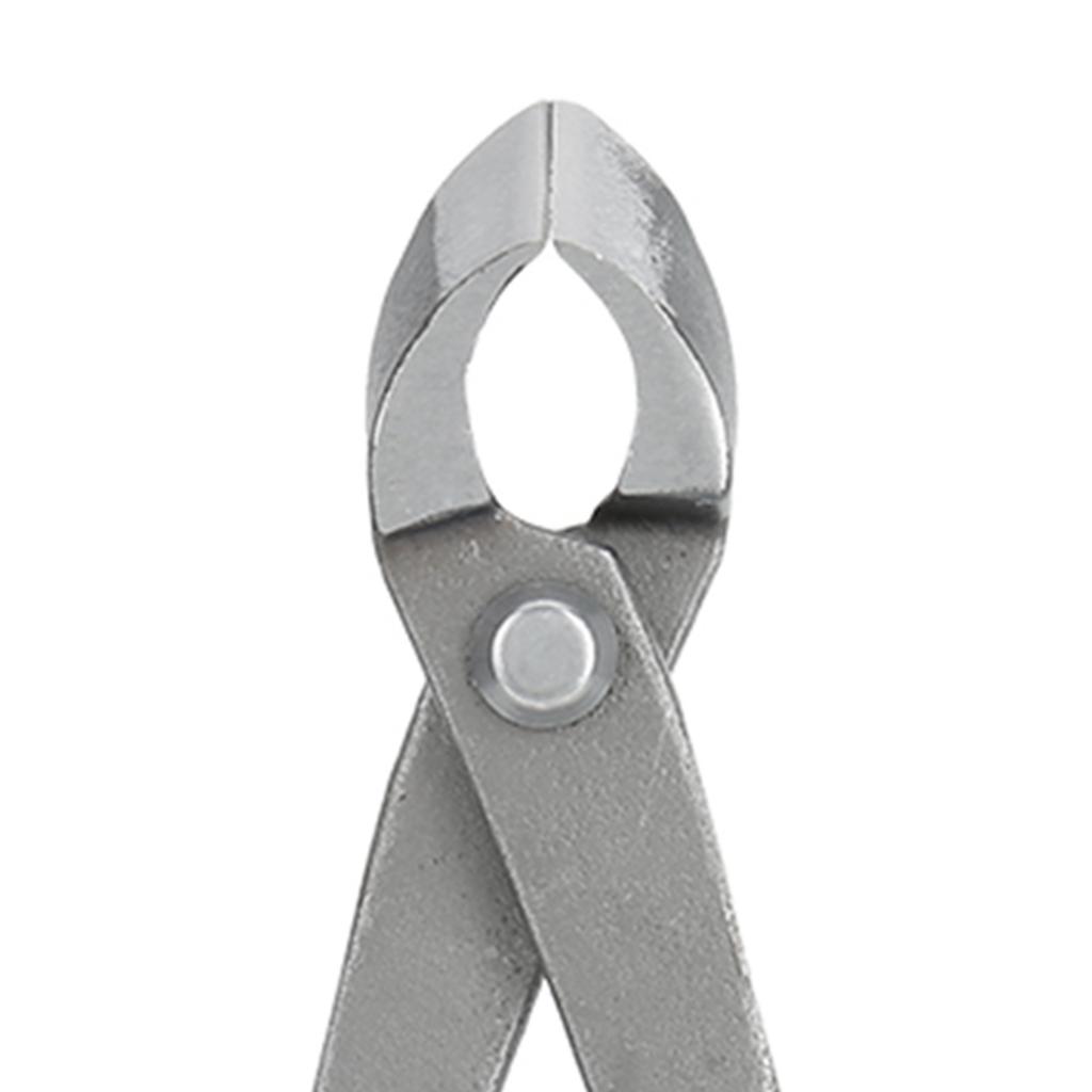 210 мм 8 дюймов Садовый секатор Forged Steel Round Beginner Ножницы Секатор Инструменты для бонсай Садовый нож для обрезки деревьев