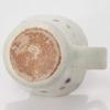 Shigaraki Ware Hechimon Viola Mug