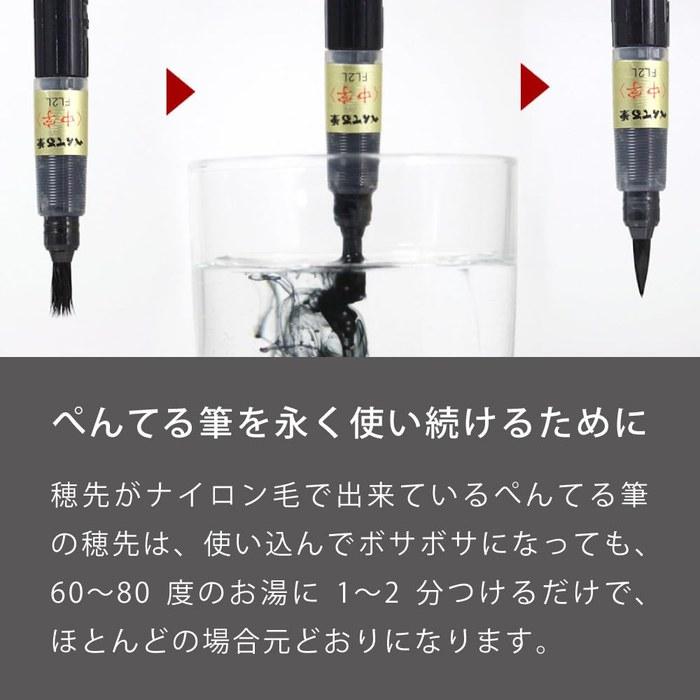 Пенсил-кисть Pentel Pentel Fude Пигментный Средне-черный 10 шт. XFP5M(10)