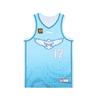 Li Ning CBA Series Letter Print Number Pullover Basketball Jersey Classic Edition 24-25 Season Qingdao Team Duan Angjun 12 Men Jersey AAYU777-1
