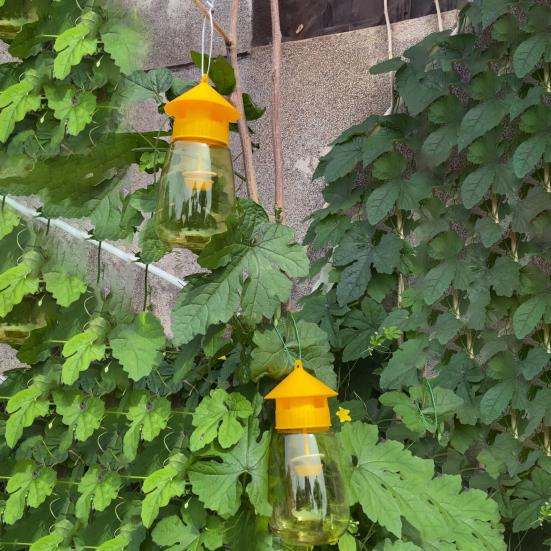 Ловушка для плодовой мушки Yousheng для улицы, подвесная ловушка для дрозофил, многоразовая банка-ловушка для фруктовых мушек, ловушка для дынной мухи для сада и огорода