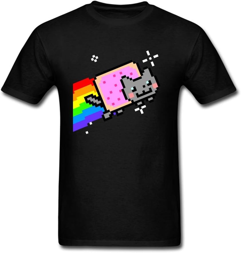 Мужская футболка SUNRAIN с принтом Nyan Cat Радуга
