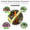 50/100/150/200 PCS plant stem fixator, garden strawberry planting fork, watermelon fixing fixture, clamp, plant bracket