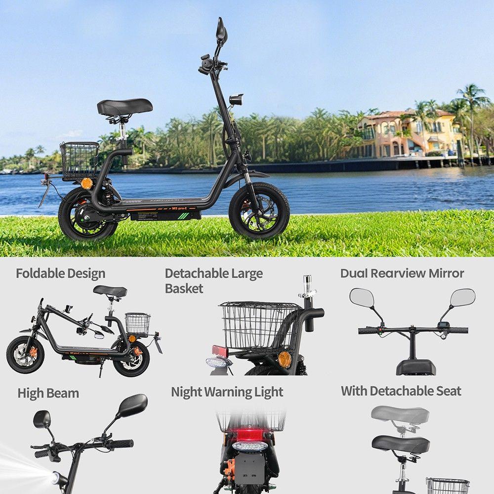 Electric Scooter Twofish M5 Pro 500W Motor Dual Disc Brakes 12" Tire With EEC Certification E-Scooter 48V 13Ah Max Range 30Km