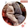 Velvet Wool Designer Scrunchy Hair Ties Cotton Famous Brands Women's Elastic Hair Accessories Rubber Bands Set for Hair