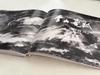Ink Jin Yong Li Zhiqin Painting Collection Volume 2