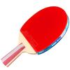 DHS 5-Star Table Tennis Racket