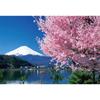 Yanoman 108 Piece Jigsaw Puzzle Sakura and Fuji (Yamanashi) Large Piece (26x38cm)