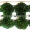 Preserved Yunnan Carnation Flowers – Perfect Mother’s Day and Birthday Gift